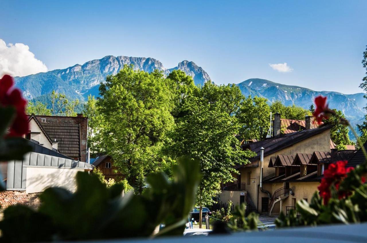 Willa Arkadia Zakopane Exterior photo